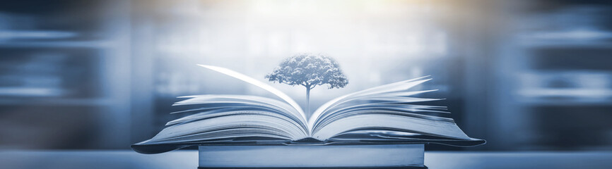 好看的日本鬼片