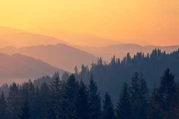 张杰的新歌《看月亮爬上来》歌词