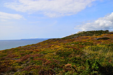 张杰的新歌《看月亮爬上来》歌词