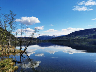 张杰的新歌《看月亮爬上来》歌词