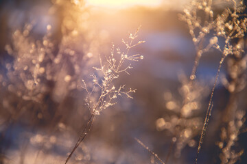 张杰的新歌《看月亮爬上来》歌词