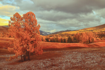《远离尘嚣》说明了什么