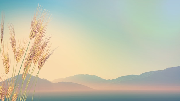 好看的日本鬼片