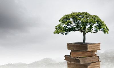 好看的日本鬼片