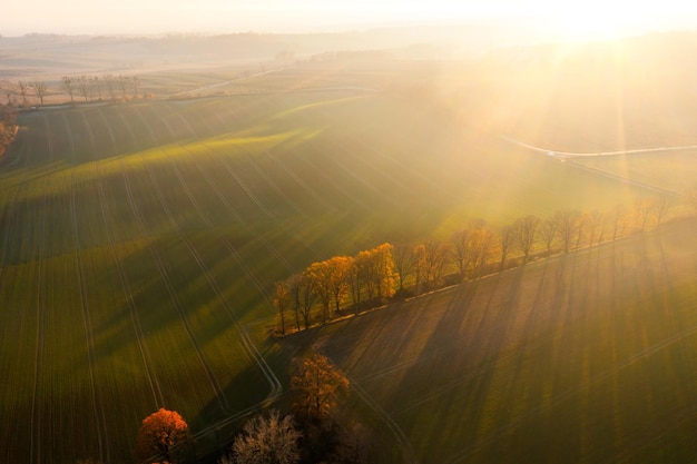 《远离尘嚣》说明了什么