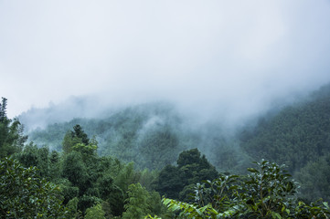 好看的日本鬼片